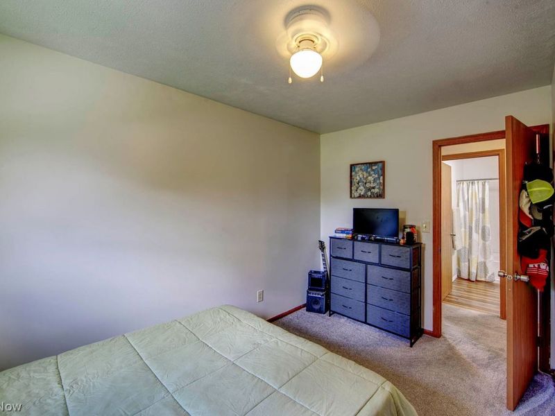 7350 Gilbert Street, Chippewa Lake, OH 44215 Photo 18