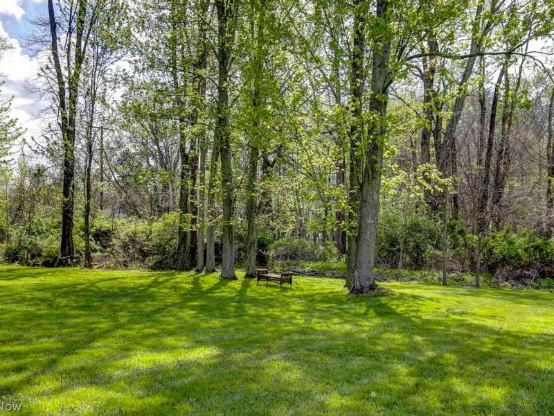 7350 Gilbert Street, Chippewa Lake, OH 44215 Photo 41