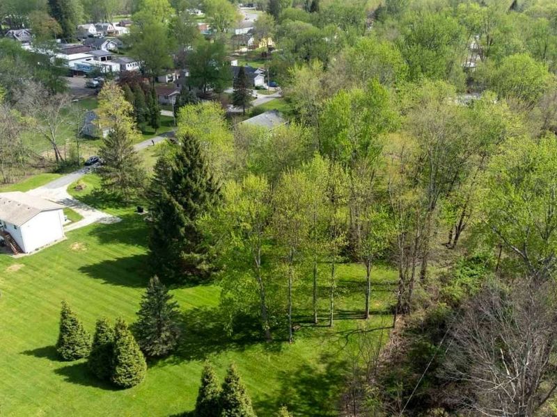 7350 Gilbert Street, Chippewa Lake, OH 44215 Photo 46