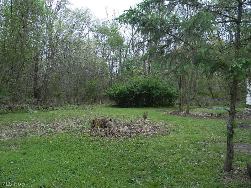 935 Forest Street, Niles, OH 44446 Photo 6