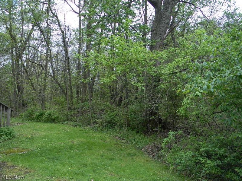 935 Forest Street, Niles, OH 44446 Photo 7