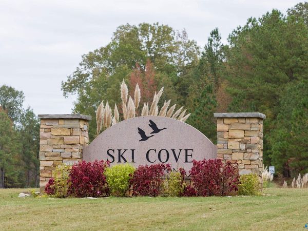 Lot 1 Goose Pond Island Drive, Scottsboro, AL 35769