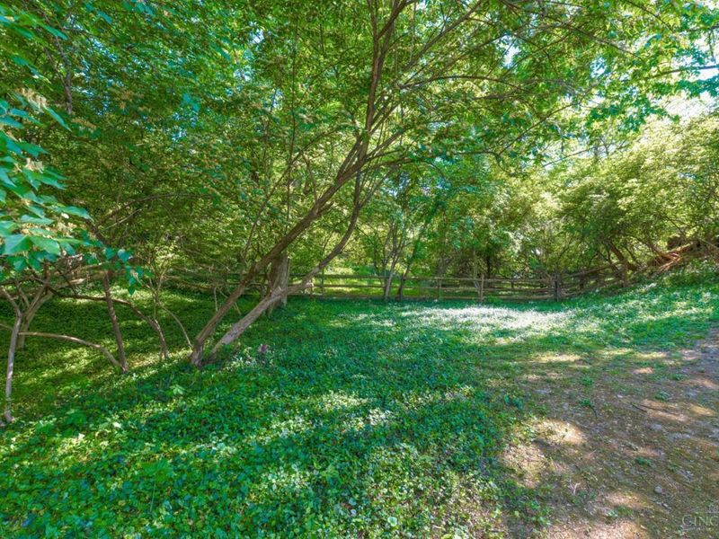 3507 Aultwoods Lane, Cincinnati, OH 45208 Photo 30