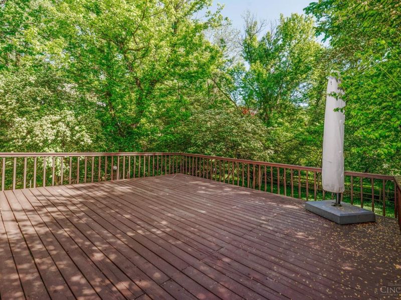 3507 Aultwoods Lane, Cincinnati, OH 45208 Photo 34