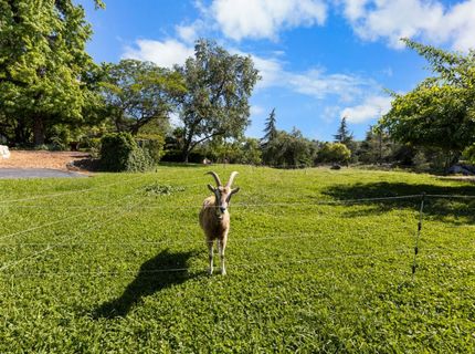 1361 Taylor Rd, Newcastle, CA 95658 Photo