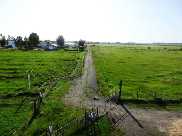 12775 Woods Rd, Wilton, CA 95693