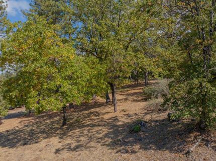 323 Forest Meadows Dr, Murphys, CA 95247 Photo