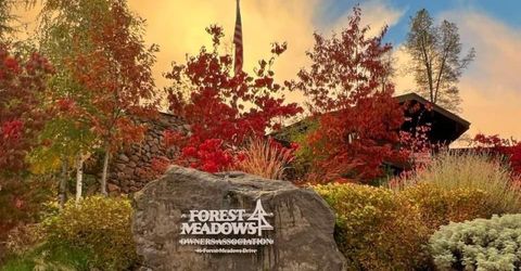 323 Forest Meadows Dr, Murphys, CA 95247 Photo