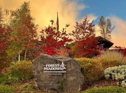 323 Forest Meadows Dr, Murphys, CA 95247 Photo