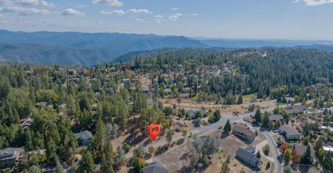 323 Forest Meadows Dr, Murphys, CA 95247 Photo