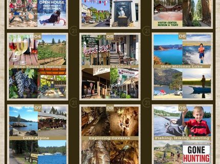 323 Forest Meadows Dr, Murphys, CA 95247 Photo