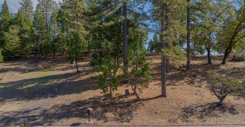 323 Forest Meadows Dr, Murphys, CA 95247 Photo