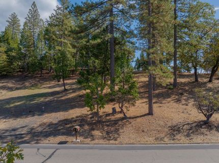323 Forest Meadows Dr, Murphys, CA 95247 Photo