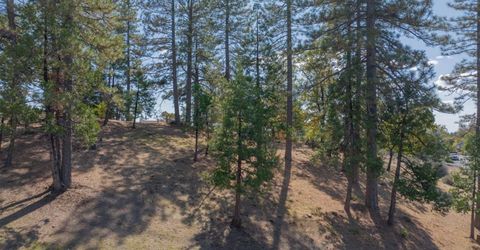 323 Forest Meadows Dr, Murphys, CA 95247 Photo