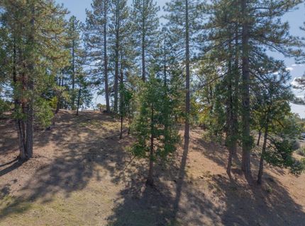 323 Forest Meadows Dr, Murphys, CA 95247 Photo