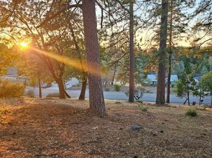 323 Forest Meadows Dr, Murphys, CA 95247 Photo