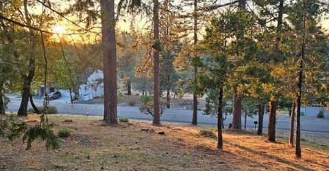323 Forest Meadows Dr, Murphys, CA 95247 Photo