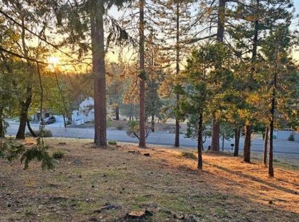 323 Forest Meadows Dr, Murphys, CA 95247 Photo