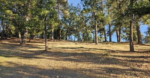 323 Forest Meadows Dr, Murphys, CA 95247 Photo