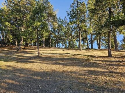 323 Forest Meadows Dr, Murphys, CA 95247 Photo