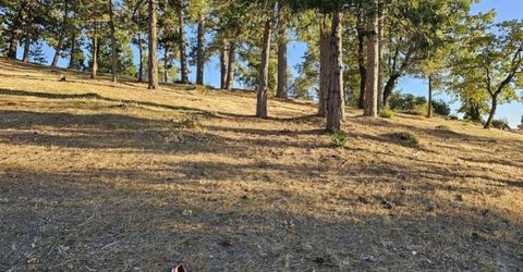 323 Forest Meadows Dr, Murphys, CA 95247 Photo