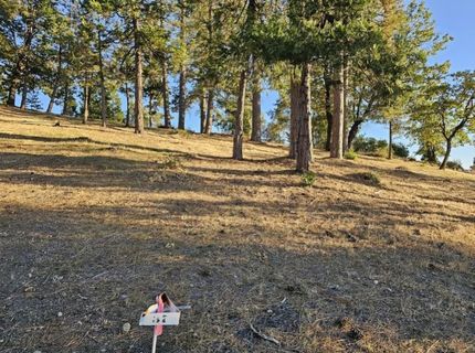 323 Forest Meadows Dr, Murphys, CA 95247 Photo