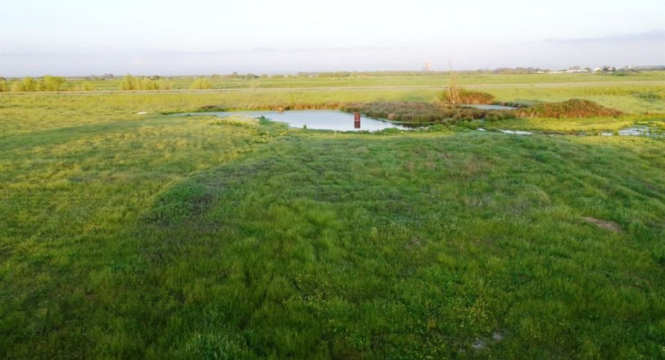 Woods Rd, Wilton, CA 95693 Photo