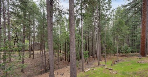 5531 Begonia Dr, Pollock Pines, CA 95726 Photo