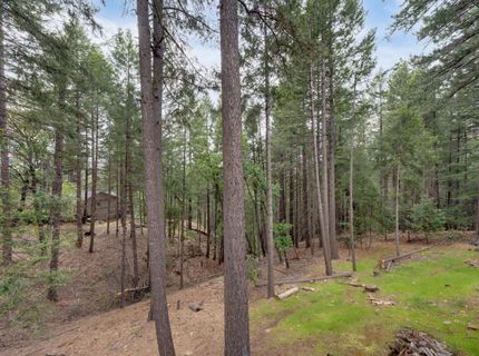 5531 Begonia Dr, Pollock Pines, CA 95726 Photo