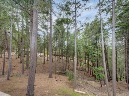 5531 Begonia Dr, Pollock Pines, CA 95726 Photo
