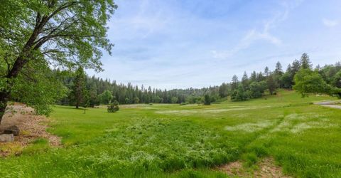 5531 Begonia Dr, Pollock Pines, CA 95726 Photo