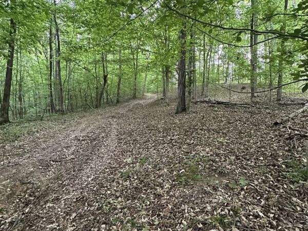 Burnley Road , Scottsville, KY 42164