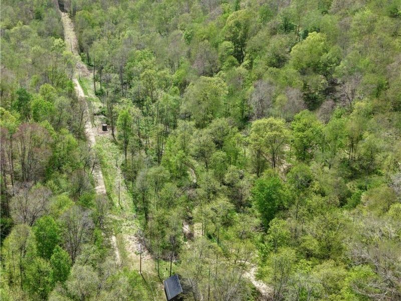Township Road 423, Walhonding, OH 43843 Photo 11