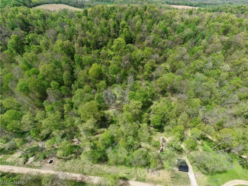 Township Road 423, Walhonding, OH 43843 Photo 12