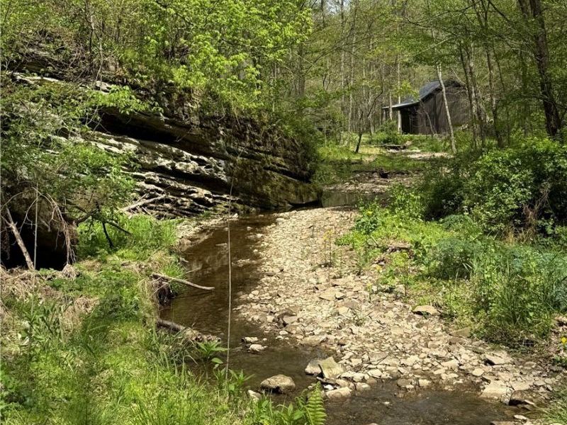 Township Road 423, Walhonding, OH 43843 Photo 18
