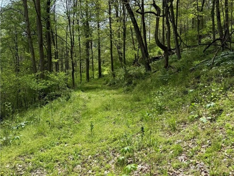 Township Road 423, Walhonding, OH 43843 Photo 21