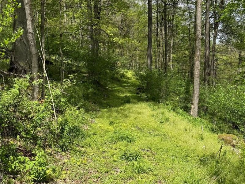 Township Road 423, Walhonding, OH 43843 Photo 24