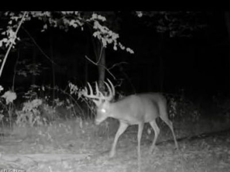 Township Road 423, Walhonding, OH 43843 Photo 37