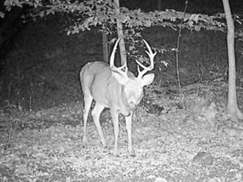 Township Road 423, Walhonding, OH 43843 Photo 39