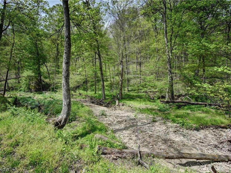 Township Road 423, Walhonding, OH 43843 Photo 5