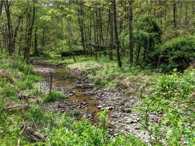 Township Road 423, Walhonding, OH 43843 Photo 8