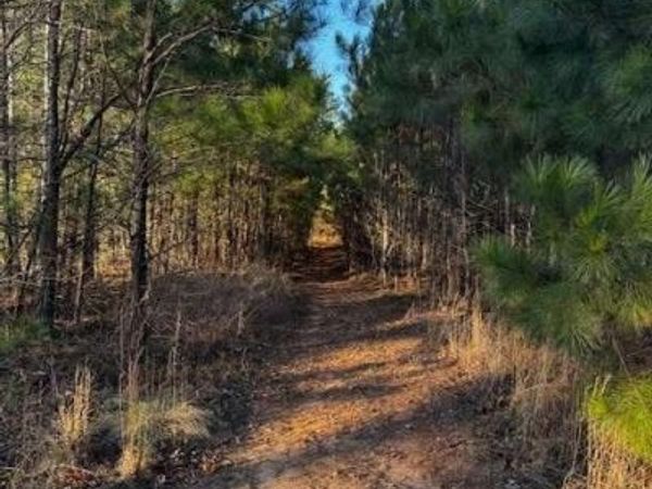 28.59 Belford Way , Jackson, GA 30233