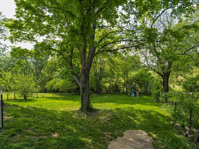 8420 Persimmon Grove Pike, Alexandria, KY 41001 Photo 16