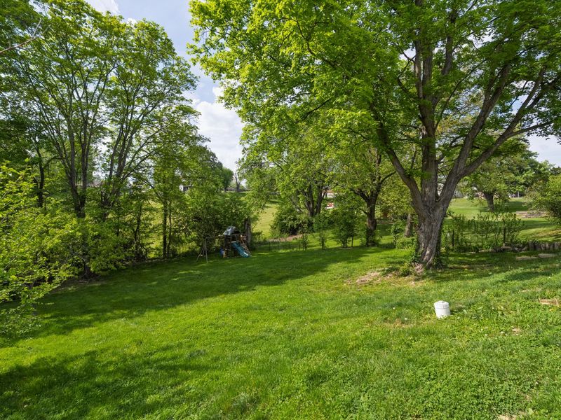 8420 Persimmon Grove Pike, Alexandria, KY 41001 Photo 20