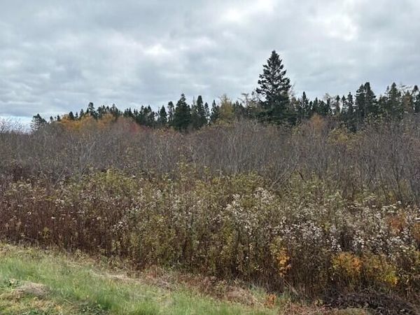 0 Boot Cove Road, Lubec, ME 04652
