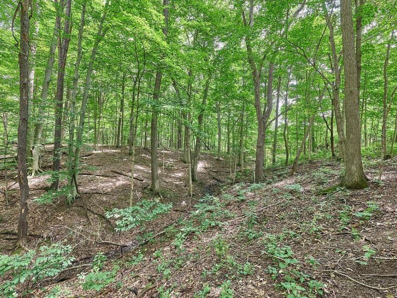 4948 E Walnut Street , Unit LOT 1, Westerville, OH 43081 Photo 14