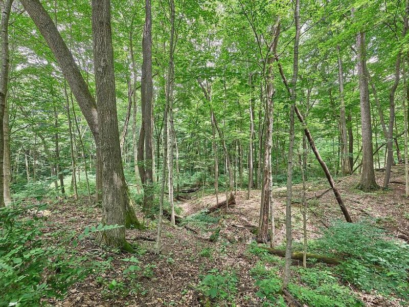 4948 E Walnut Street , Unit LOT 1, Westerville, OH 43081 Photo 17