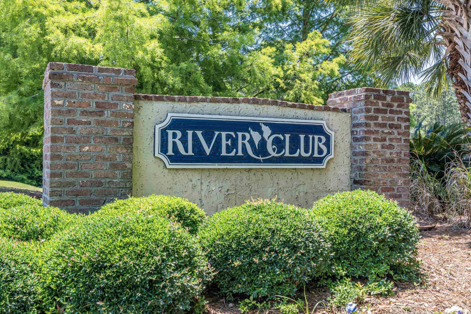 314 Tall Pines Way  Photo 4