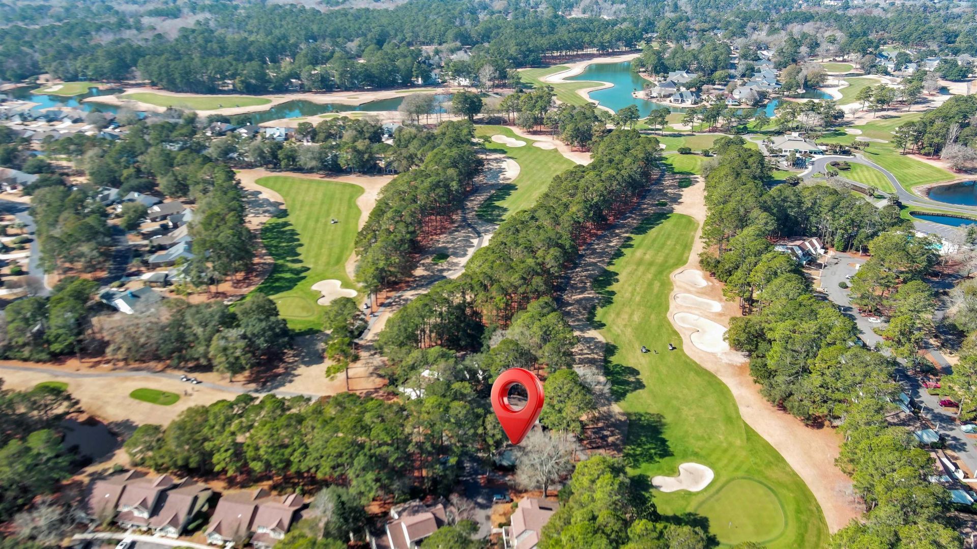 314 Tall Pines Way Photo 6