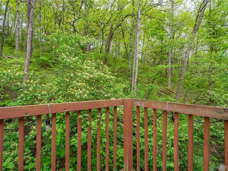 10584 New Biddinger Road, Harrison Township, OH 45030 Photo 47